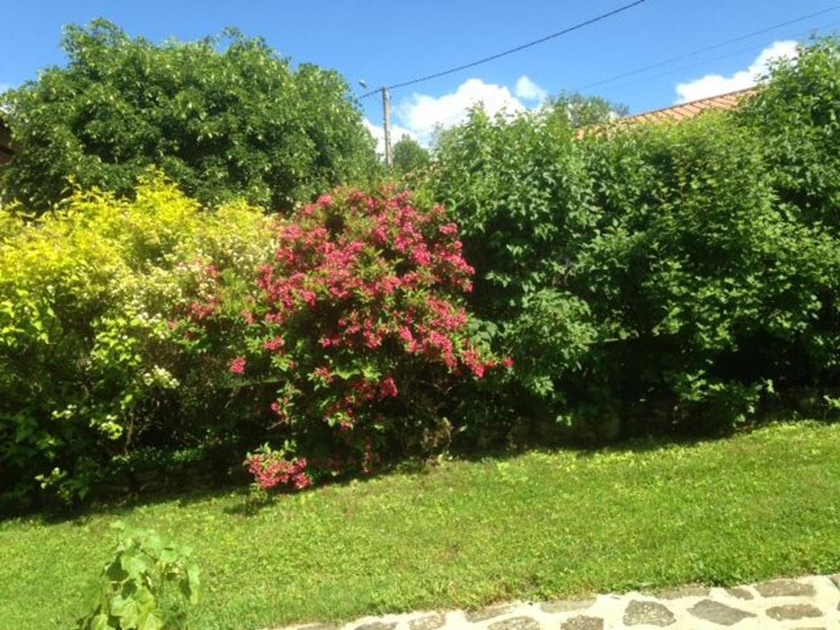 Ferme Restauree Avec Jardin Clos Et Terrasse, Proche Puy En Velay - Fr-1-582-271 Villa Le Monastier sur Gazeille Exterior photo